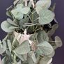 Hanging House Plant (plastic) Image 3