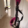 Two bridles (one leather with bit and one material) with le mieux head collar Image 6