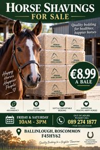 Horse Shavings Bale