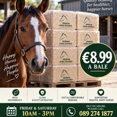 Horse Shavings Bale