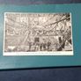 Dublin  Insurrection Postcard Image 2