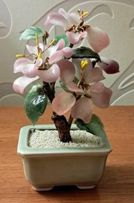 Vintage Chinese Bonsai Tree