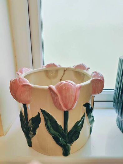 Plant and Flower Pot