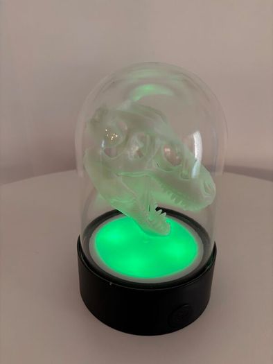 Dinosaur Head