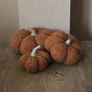 Trio of pumpkins Image 2