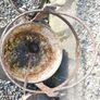 Victorian Cast Iron Cauldron 1800s Garden Decoration, Flower Pot Image 9