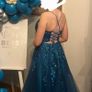 Danis Closet Debs Dress Image 2