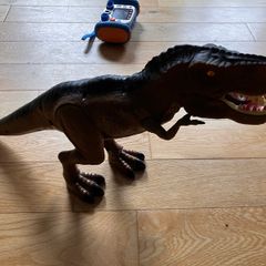 Dinosaur