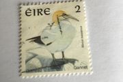 Irish stamp - Gannet