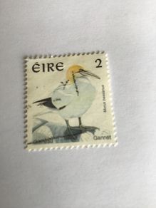 Irish stamp - Gannet