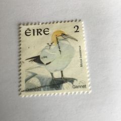 Irish stamp - Gannet