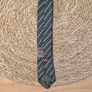 ties Image 2