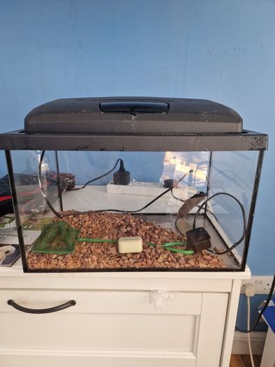 Fish tank