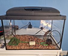 Fish tank