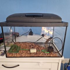 Fish tank