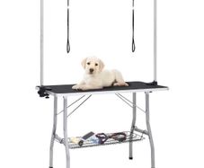 Adjustable Dog Grooming Table with 2 Loops and Basket