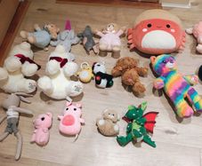 Lots of teddies including squishmallow