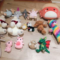 Lots of teddies including squishmallow