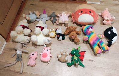 Lots of teddies including squishmallow