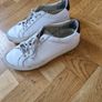 Common Projects Trainers Image 6
