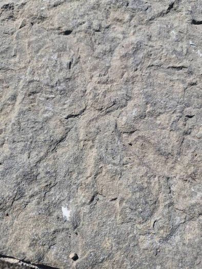 Paving Sandstone