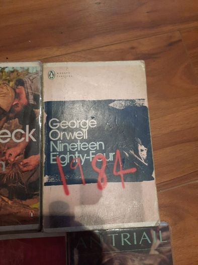 Novels for secondary school