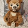 Cubby the curious bear Image 2