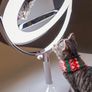 ILIOS LIGHTING All in one makeup mirror & ring light BRAND  NEW Kim Kardashian and makeup by Mario approved Image 6