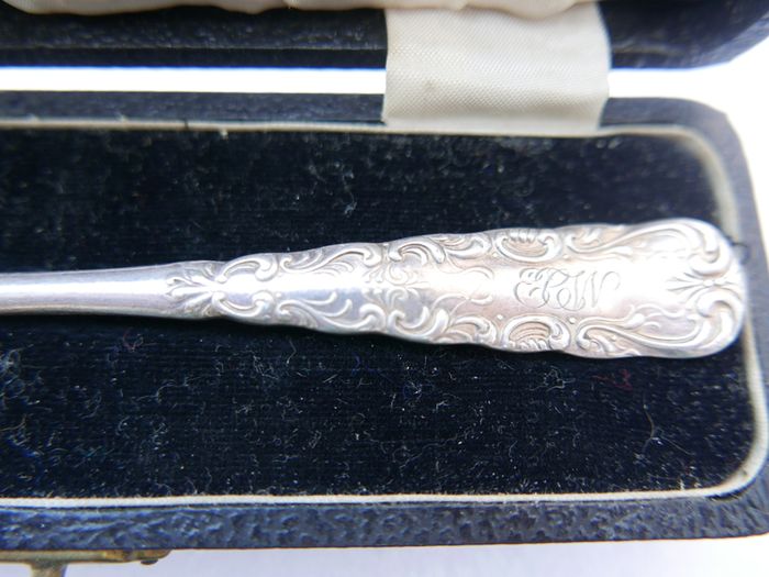 Vintage silver-plated  1847 Rogers Bros in Vintage Case