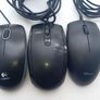 mice Image 2