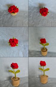 Handmade mini Flower Rose Pot