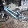 Raleigh Roma girls bike Image 2