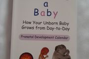 Baby development 'Becoming a Baby' by William F Supple