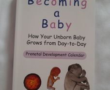 Baby development 'Becoming a Baby' by William F Supple
