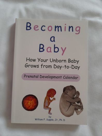 Baby development 'Becoming a Baby' by William F Supple