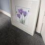 Picture Image 2