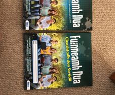Fuinneanh Nua Book and Workbook.