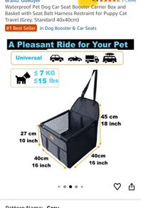 pet transport