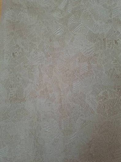 Cream Curtains