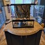 glass terrarium Image 2