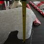 Outdoor polar bear Image 5