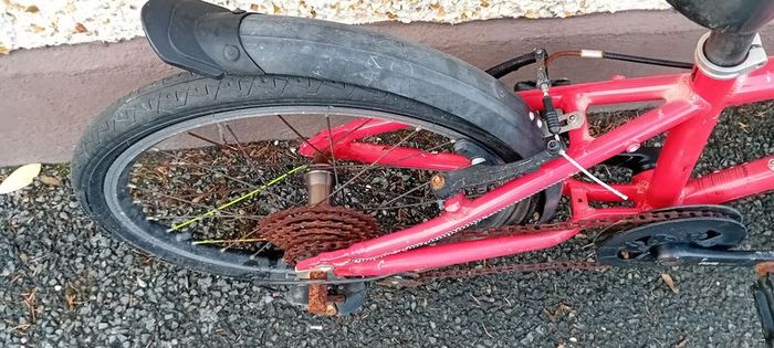 Kids Frog Bike/repair