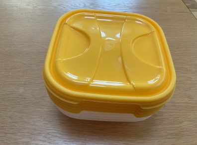 5 Lunch boxes/ Sandwich boxes