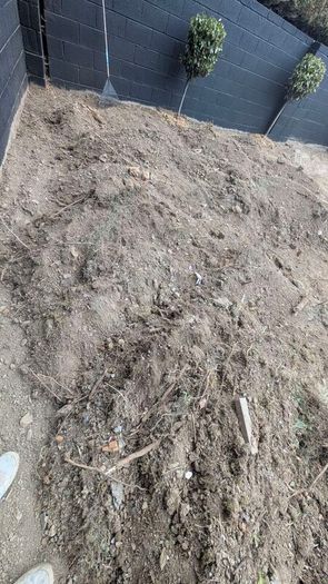 SOIL - Sub soil / Filler
