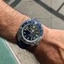 Seiko Land Turtle Image 6