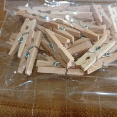 Craft Miniature Wooden Clothes Pegs