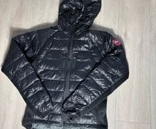 Canada goose hybridge