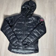 Canada goose hybridge