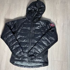 Canada goose hybridge