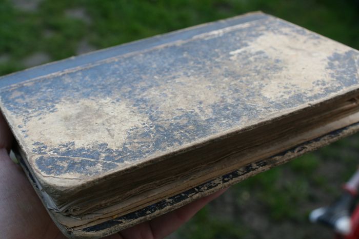 The American Orator With An Appendix, Containing The Declaration Of Independence, With The Fac-similes Of The Autographs Of The Signers, The Constitution Of The United States, Washington's Farewell Address, And Fac-similes Of The Autographs Of A Large Num